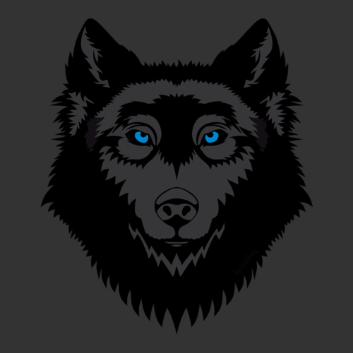 Black Wolf With Blue Eyes 1